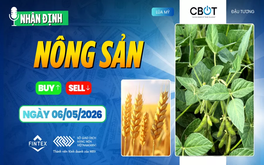 NHẬN ĐỊNH THỊ TRƯỜNG NÔNG SẢN NGÀY 06/05/2026